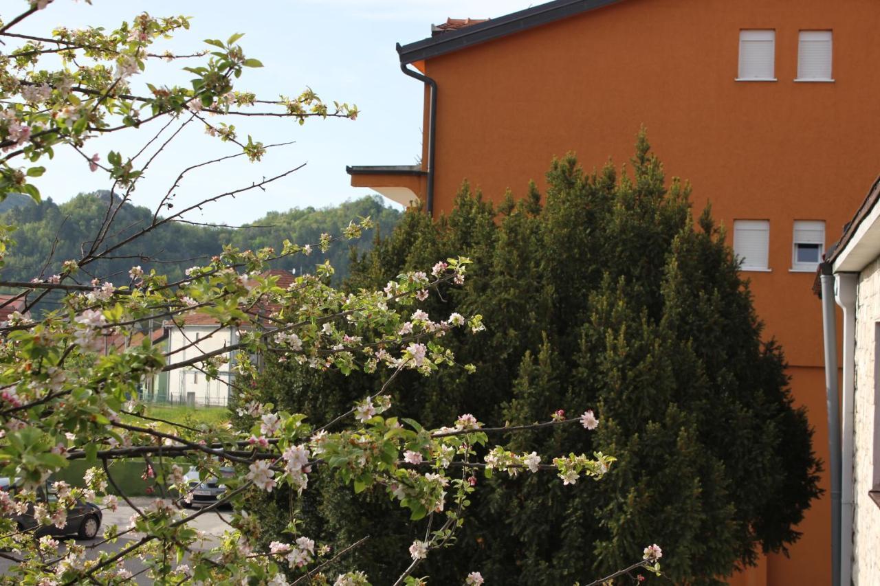 Apartments Kapisoda Cetinje Buitenkant foto